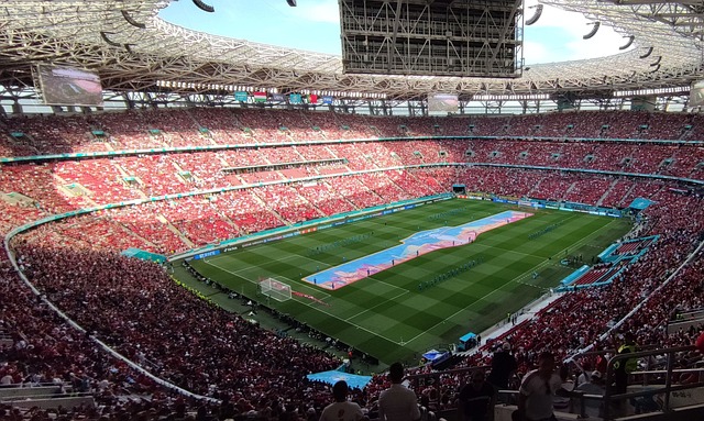 决策中显露 决策中显露