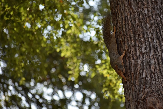 探索新的战 探索新的战