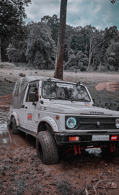 先进的技术 先进的技术