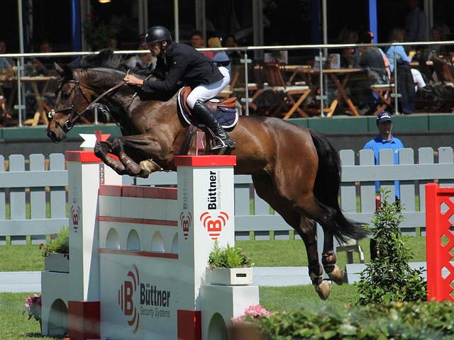 赛事的精彩 赛事的精彩