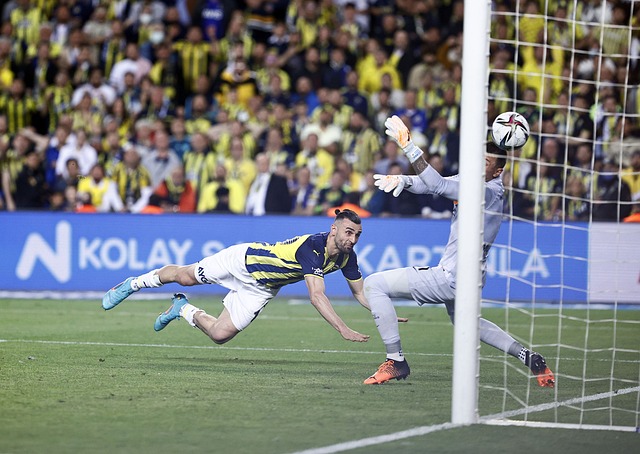 的拼搏精神 的拼搏精神