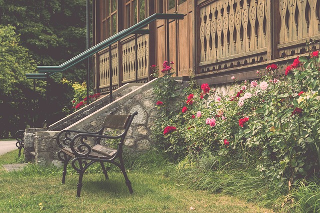 费南多的决 费南多的决