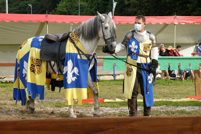 会费创造纪 会费创造纪